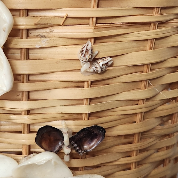 Vintage 70's handmade shell art tri floral Wicker basket vase retro unique - Picture 5 of 12